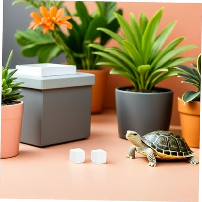 Tortoise Calcium Blocks 6pcs Calcium Cubes for Reptile Health Supplement Turtle Tank for Enhanced Strength