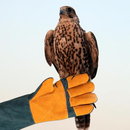 Animal Handling Gloves - Protective Pet Grooming Mitts, Scratch Resistant Cat Safety Gear | Reptile Handling Glove Leather, Puncture Proof Dog Training Gloves for Veterinary Use Wildlife Care - color: A