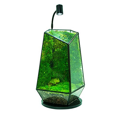 MINI Terrarium Aquarium Black Spotlight for Potted Plants, Betta Fishes, Bottle Jars, Displays, Indoor Plant, Succulents, Air Plants