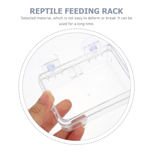 HEMOTON 2pcs Small Reptile Food Feeder Bowls with Suction Cups Multi-Function Feeding Dish for Lizards Geckos and Bearded Dragons Escape-Proof Terrarium Feeding Supplies