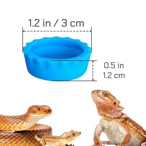 hhfvvda12 PCS Reptile Feeding Cup, Colorful Crested Gecko Food Bowl, Snake Water Dish, Bearded Dragon Terrarium Accessories