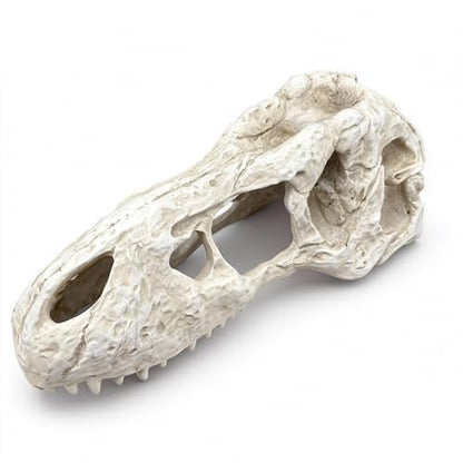 Animal Skull Aquarium Tank Decorations, Reptile & Amphibian Habitat Hideouts, Dinosaur T-Rex Dragon Decor Accessories for Fish, Lizard, Gecko