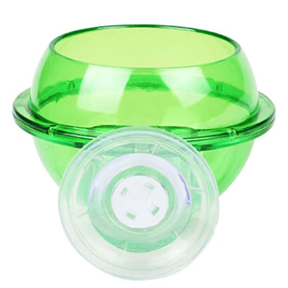 Reptile Bowl Feeder Water Dish Gecko Ledge Suction Cup Accessories for Gecko Lizard Snakes