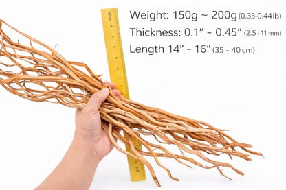 Azil Natural Aquarium Driftwood Root – Driftwood for Aquarium Decor, 170g~0.38lb (14″–16″), Fish Tanks, Terrariums, Aquascaping & Planted Tanks - size: Root mix 14 - 16 inch