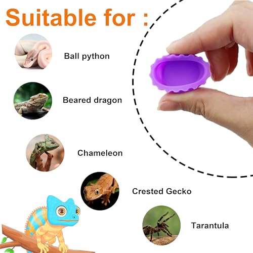 Meow&Woof 8 Pcs Reusable Silicone Reptile Feeding Cups – Bearded Dragon Water Bowl & Crested Gecko Food Dish, Habitat Tank Starter Kit Accessories for Turtle, Snake, Hermit Crab - color: 8pcs