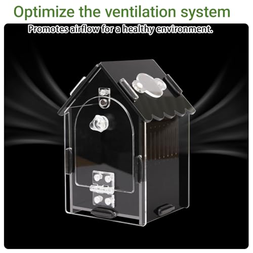 Jumping Spider Enclosure Kit, 3.15x3.15x5.6 Inch Acrylic Terrarium with Magnetic Lock & Feeding Hole, Escape-Proof Mini Habitat for Tarantula, Mantis, Reptiles, Cricket Keeper
