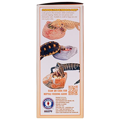 Healthy Herp Bearded Dragon Food Instant Meal for Reptiles - Nutritious Bearded Dragon Accessories, Bearded Dragon Food - Made in USA - for Box Turtles, Lizards, Tortoises - 7 x 0.2 oz (5.7g) Cups - size: 0.2 Ounce (Pack of 7), style: 7-Pack Cups