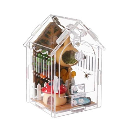 Acrylic Jumping Spider Enclosure with Magnetic Latch - color: Transparency