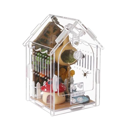 Acrylic Jumping Spider Enclosure with Magnetic Latch - color: Transparency