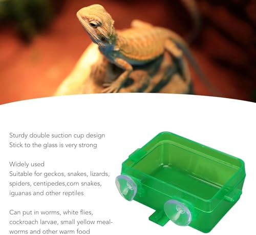 Zerodis Green Suction Cup Reptile Feeder, Gecko Lizard Escape Proof Food Water Bowl (S)