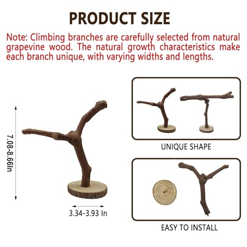 BNOSDM Reptile Grapevine Wood Decoration Lizard Natural Wood Climb Tree Branch Decor Grape Wood Branches Tank Accessories for Leopard Gecko Frog Snake Climbing Terrarium Ornament,7.87in