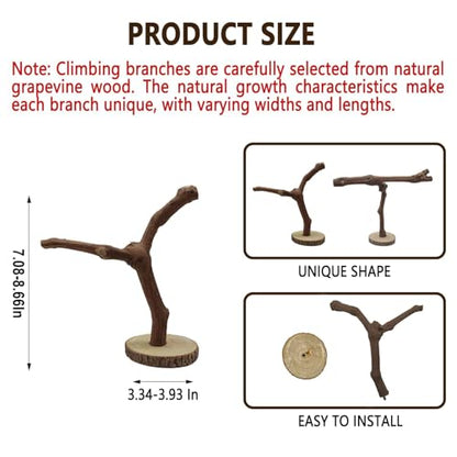 BNOSDM Reptile Grapevine Wood Decoration Lizard Natural Wood Climb Tree Branch Decor Grape Wood Branches Tank Accessories for Leopard Gecko Frog Snake Climbing Terrarium Ornament,7.87in
