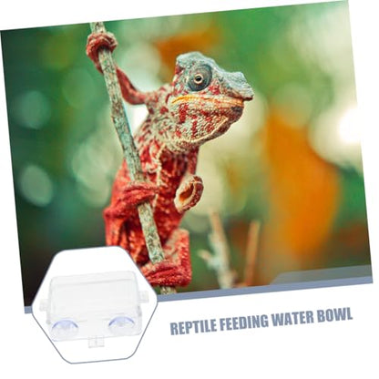 BESPORTBLE Suction Cup Food Bowl Reptile Accessory Bearded Dragon Water Bowl Multi-use Feeder Easy-Clean Reptile Dish