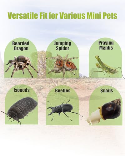 Jumping Spider Enclosure, Transparent Arboreal Tarantula Habitat, Praying Mantis Terrarium Critter Cage for Jumping Spider, Tarantula Slings, Mantis, Snail, Isopods, Beetles, Millipedes - size: Small