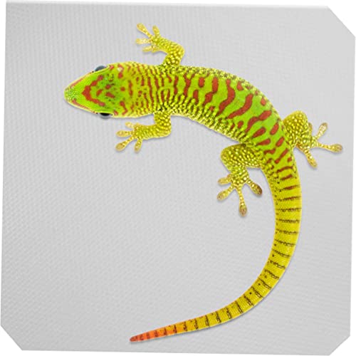 Reptile Carpet Mat for Leopard Gecko Lizard Snake and Turtle Soft Non-Slip Terrarium Substrate Bedding 48 x 24 Easy to Clean Accessories for Reptile Tank - color: White