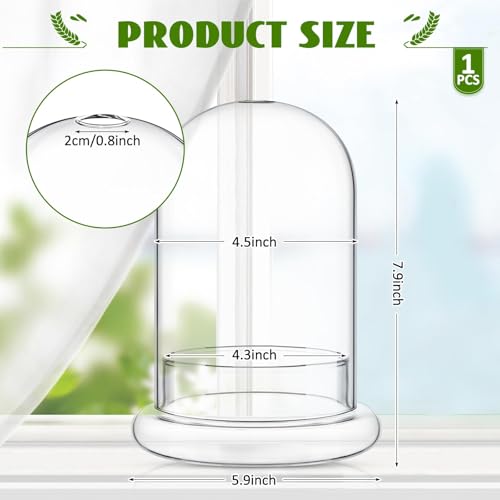 1 PC 5.9 x 7.9 Inch Glass Terrarium Dome Cloche with Air Hole & Glass Base, Clear Terrarium Containers Ventilated Plant Humidity Dome for Carnivorous Plants Orchids Tropical Cuttings, No Leakage - size: 5.9 x 7.9 Inch