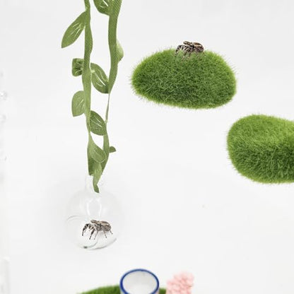 Jumping Spider Enclosure Accessories, 1 Glass Ball Habitat Hide with Green Rope and Artificial Tree Branch 2 Green Platform, Jumping Spider Enclosure Decor