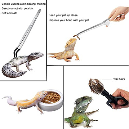 Woyrise 5Pcs Reptile Feeding Kit, 3Pcs Stainless Steel Feeding Tongs, Rubber Tipped Soft Tweezers, Bug Feeder Cricket Clamp, 2Pcs Reptile Food Dish Water Bowl for Reptiles,Gecko,Bearded Dragon, Spider