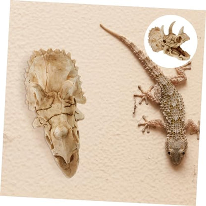 Dinosaur Skull Aquarium Decoration Resin Fish Tank Hideout for Reptiles Turtles and Aquatic Pets Unique Habitat Ornament for Decor