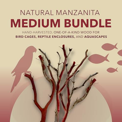Manzanita Driftwood (Bundle) for Medium Aquariums & Reptile Tanks (13-17”") 10–30 Gallon Tank | Natural Aquascaping & Terrarium Decor | Hardwood Branches | Community Fish, Gecko, Bearded Dragon - size: Bundle MED