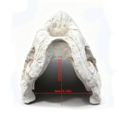 Animal Skull Aquarium Tank Decorations, Reptile & Amphibian Habitat Hideouts, Dinosaur T-Rex Dragon Decor Accessories for Fish, Lizard, Gecko