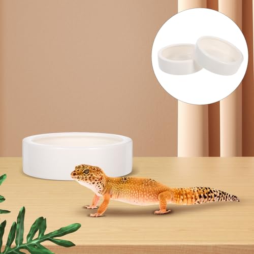 SECFOU Reptile Feeding Bowls Anti-Escape Design 2 Pcs Ceramic Space-Saving Round Bowls for Lizards and Small Reptile Animals for Terrarium Use