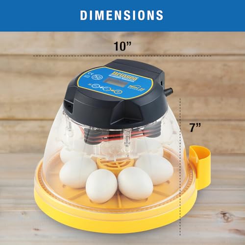 Brinsea Mini II Advance Egg Incubator with Automatic Egg Turning and Temperature Control for Hatching 7 Chicken, Duck, or Other Eggs, Ideal Incubator for Hobbyists, Teachers, and Learners - size: 7 Eggs
