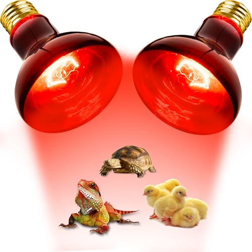 Flaspar 100W Reptile RED Heat Lamp Bulbs, Reptile & Amphibian Basking Spot Light Bulbs for Chickens Coop Pets Brooder Bearded Dragon Lizard Tortoise Use, Pack of 2 - color: Red