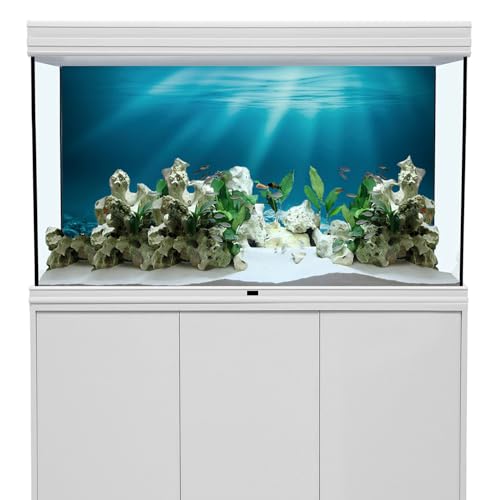 AWERT 36x18 inches Undersea Theme Aquarium Background Sunshine Underwater World Fish Tank Background Vinyl - size: 36x18in/90x45cm