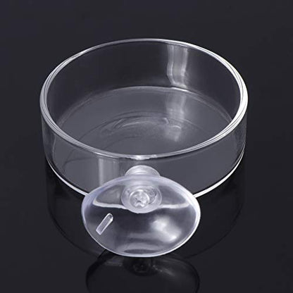 Shrimp Feeder Glass Feeding Dish Aquarium Fish For Tank Reptiles Round Clear Food Bowl With Suction Cups 2.4x0.7 Inch Shrimp Feeding Dish Shrimp Feeding Dish And Tube Shrimp Feeding Dish With Suction