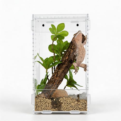 5x5x8 Reptile Tank – Acrylic Reptile Enclosure Terrarium for Crested Gecko, Lizards, Spiders & Snakes – Clear Lizard Habitat Terrarium - size: 5"5"8"