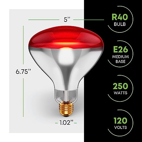 KOR 250 Watt R40 Incandescent Light Bulbs (2-Pack) - Bathroom Infrared Heat Lamp for Chickens Puppies Reptiles Livestock Poultry, Sauna Red Light Therapy Bulb - 2,000 Hour Rated, E26 Base, 120V - color: Red