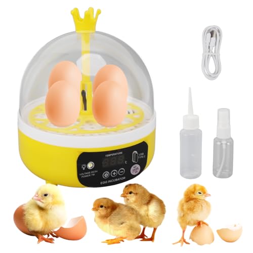 Tissting 4 Eggs Mini Incubator with Transparent Lid,7W Automatic Temperature Humidity Control,Household Small Poultry Hatching Machine,for Chickens Ducks Pigeons (Auto Turning) - color: 4 Eggs Auto Turning