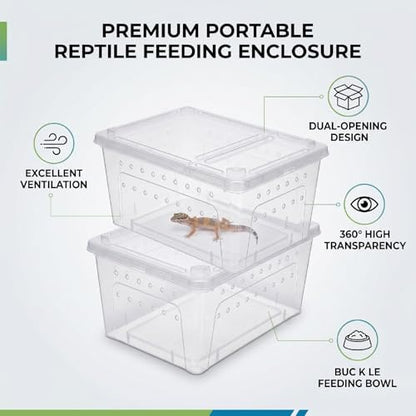 Reptile Feeding Box, Transparent Portable Plastic 2PCS Breeding Transport Box for Lizard Bearded Dragon Spider (L)