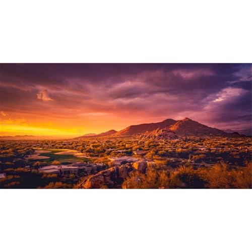 AWERT 24x16 inches Sun and Desert Terrarium Background Mountain Oasis Gobi Reptile Habitat Background Vinyl - size: 24x16in/60x40cm