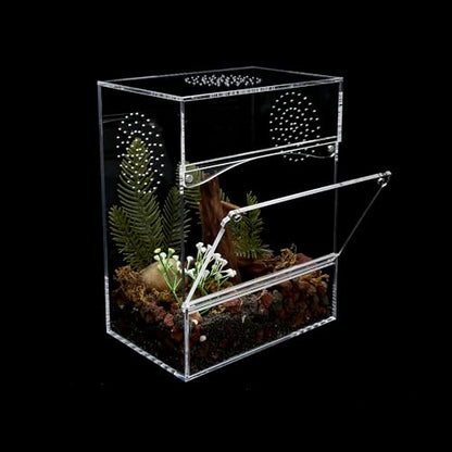Acrylic Tarantula Enclosure Jumping Spider Enclosure with Front Opening Door 7.8 * 5.3 * 10 Inches Micro Habitat Terrarium for Small Tree Dwelling Reptiles, Spiders & Invertebrates - size: Medium