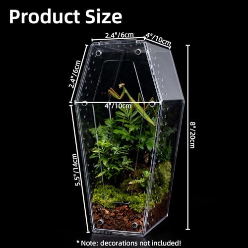 Jumping Spider Enclosure, No Installation Insect Terrarium with Magnetic Door & All-Side Ventilation, Bug Enclosure for Tarantula, Snail, Beetle and Small Reptiles