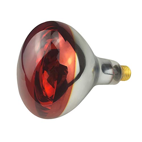 Heat Lamp Bulb R115 250 Watt 2 Pack Infrared Glass Lamp Bulb for Food Service, Brooder Bulb, Chicks, Pet, Bathroom, Light Therapy, Reptiles and Amphibian Use E26 Base - style: R115/250W