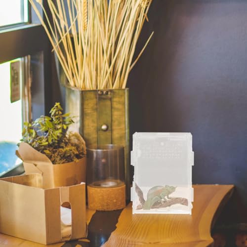 BESPORTBLE 1pc Reptile Terrarium Breeding Box Acrylic Material Light-transmitting Ventilated Craftsmanship Pet Reptile Container