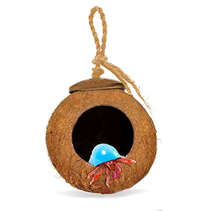 SunGrow Leopard Gecko Coco Hut, Gecko Climbing Accessories, Raw Coconut Shell Reptile Hide, Terrarium Habitat Décor, 2.5” Opening Diameter, with Fiber Loop for Hanging (1-Hole)