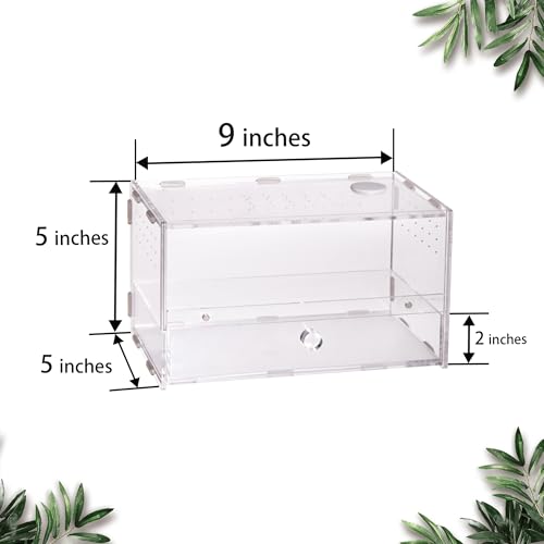 Acrylic Clear Reptile Habitat Enclosure Terrarium with Latch ，Perfect for Amphibians and Invertebrates Such as Spiders, Frogs, etc (Horizontal)