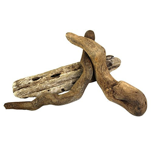 3 Pieces of 4"-6" Natural Pacific Driftwood for Aquarium Décor, Terrariums, Arts & Crafts and Reptile Habitats
