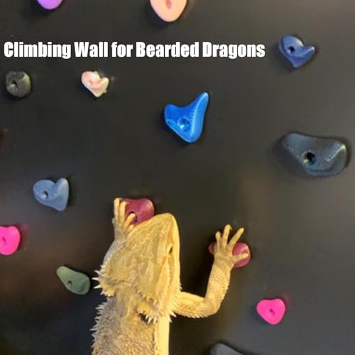 24Pcs Rock Climbing Holds for Bearded Dragons,Reptiles Toy Rock Wall Holds,6 Multi-Size Climbing Rock Wall Grips for Bearded Dragons Tank Accessories,Black