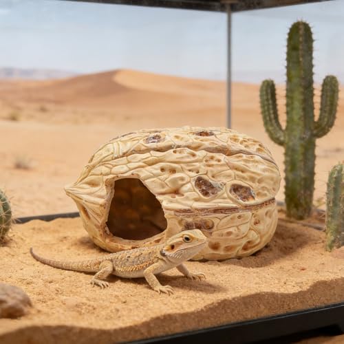 Reptile & Amphibian Habitat Hideouts, Resin Walnut - 7.09 × 4.92 × 3.94 inch Realistic Large Walnut Shape Habitat Decor, 2-Entrance Safe Hide for Leopard Gecko Bearded Dragon Snake