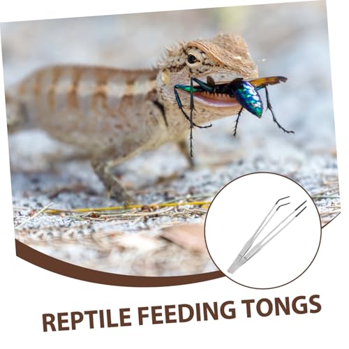 Angoily 2pcs Stainless Steel Reptile Feeding Tongs Non Slip Tweezers with Rubber Tips for Gentle Feeding of Snakes Lizards and Turtles Durable Portable for Terrarium Accessories