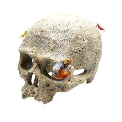 CTWPets Aquarium Human Skull Decor for Betta Fish, Sinking Hide Shrimp Hide
