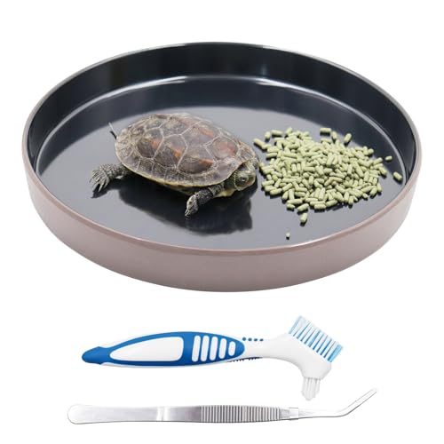 Reptile Feeder Kit, Food Water Bowl, Plastic Round Tortoise Feeding Dish, Amphibian Feeding Bowl, Tank Terrarium Accessories for Bearded Dragon Snake Hermit Crab Turtle Lizard Chameleon - 8 × 8 × 1"