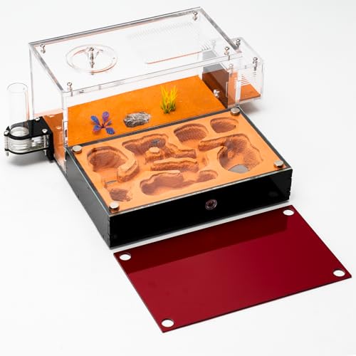 Terra Core M Ant Nest with Starter Kit 9 x 8 x 4.33 in - size: Terra Core Series-M