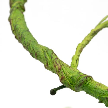 Pangea Reptile Ultimate Vine for Terrarium Habitat (Green) - color: Green