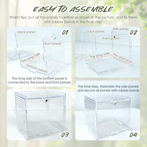 Jumping Spider Enclosure, 4"x4"x4" Acrylic Habitat Terrarium - Top Opening with Ventilation & Feeding Holes, Small Pet Tank for Jumping Spiders, Snails, Insects, Isopods